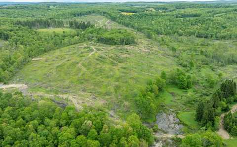 998 Hanlin Road, Bruceton Mills, WV 26525