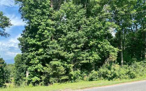 Flat Branch Road, Ellijay, GA 30540