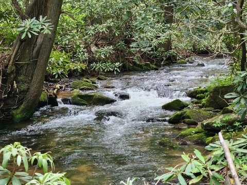 Ll 25 Cashes Valley, Cherry Log, GA 30522