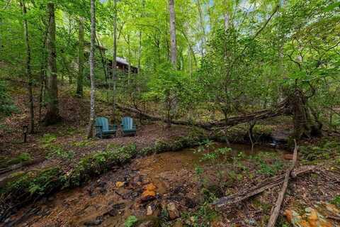 421 Weeks Creek Road, Blue Ridge, GA 30513