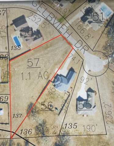 Gelbvieh, Tupelo, MS 38804