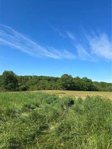 foundry hill Road, Salineville, OH 43945