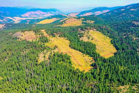 3XX DAY CREEK RD, CURLEW, WA 99118