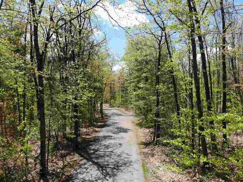 TBD Eastridge, Gaylord, MI 49735