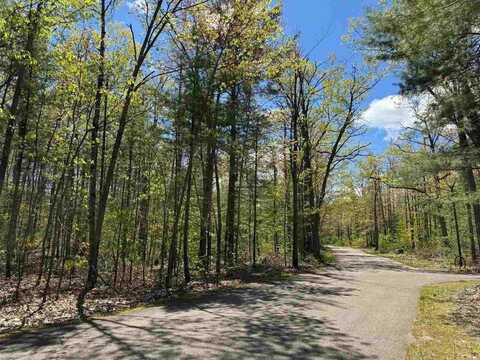 TBD Eastridge, Gaylord, MI 49735