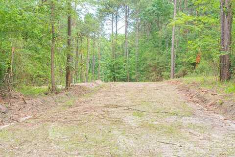 3 A375 Moore Farm Road tract 2, Zavalla, TX 75980