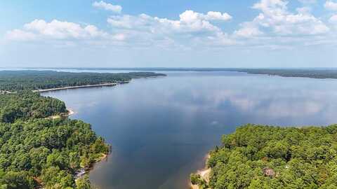 3 A375 Moore Farm Road tract 5, Zavalla, TX 75980