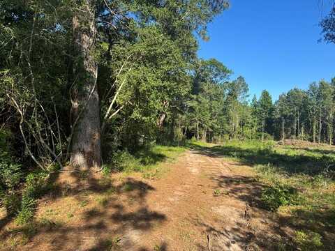 R37357 Hwy 69 South tract 3, Zavalla, TX 75980