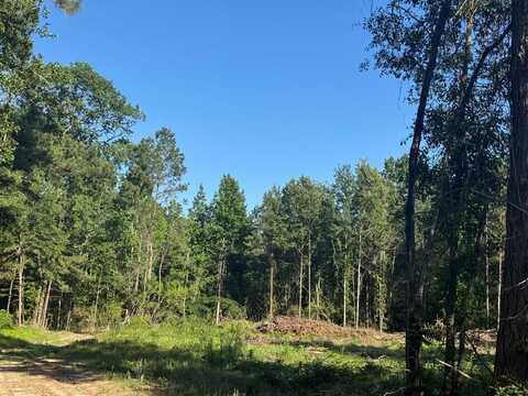 R37357 Hwy 69 South tract 5, Zavalla, TX 75980