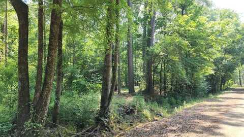 Lot 62 CR 1090, Center, TX 75935