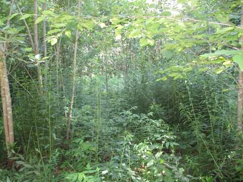 00 Arnold Lane, Wolcott, VT 05680