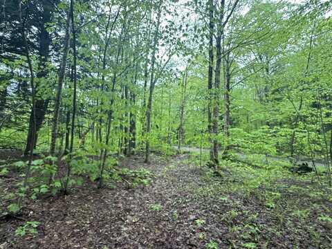 1585 Amidon Road, Montgomery, VT 05471