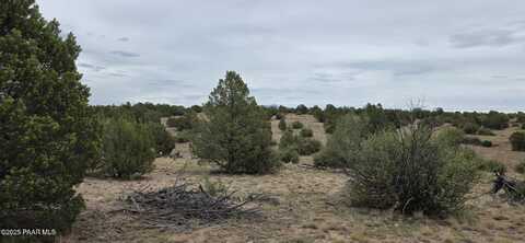 408 N2 Off Caprica Road, Ash Fork, AZ 86320