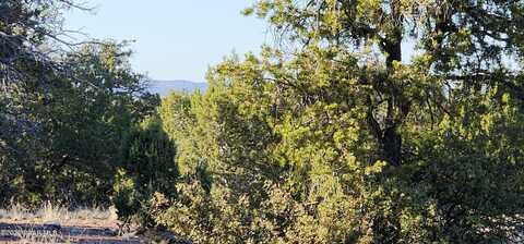 408 N2 Off Caprica Road, Ash Fork, AZ 86320