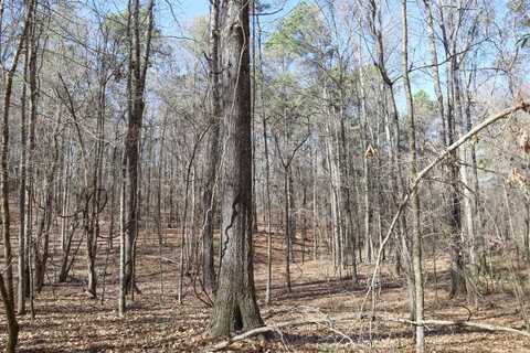 TBD Hwy. 849, Columbia, LA 71418