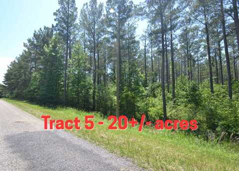 Tract 5 County Road 39, Woodland, AL 36280