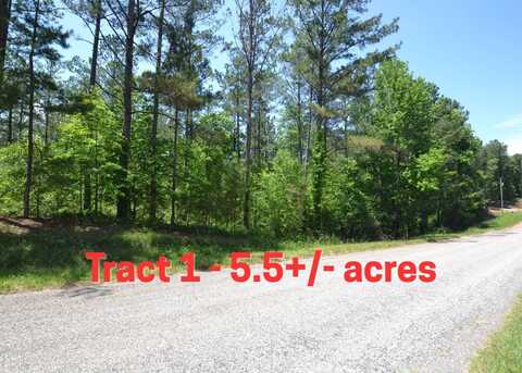 Tract 1 - County Road 39, Woodland, AL 36280