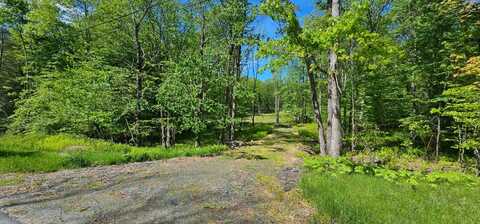 Lot 61 Cushetunk Dr, Cochecton, NY 12764