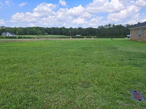0 Stokley Court, Atmore, AL 36502