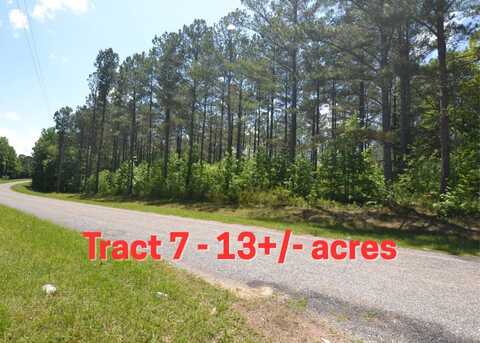 Tract 7 County Road 39, Woodland, AL 36280