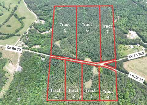 75+/- Acres County Road 39, woodland, AL 36280