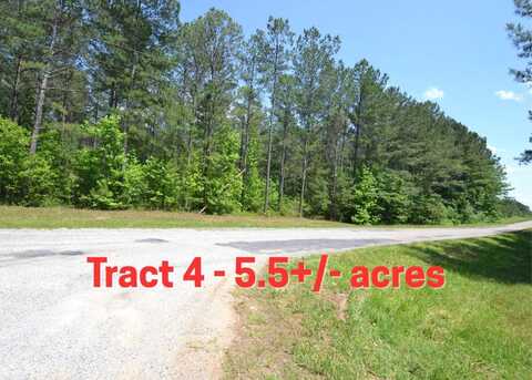 Tract 4 County Road 39, Woodland, AL 36280