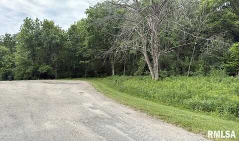216 RIDGEWOOD Court, Dahinda, IL 61428