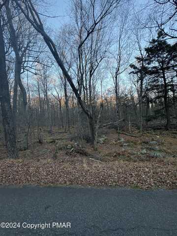 27 Spring Court, Newfoundland, PA 18445