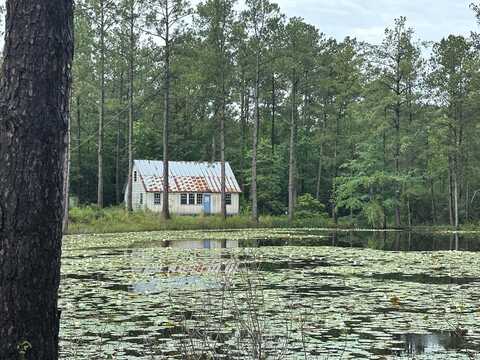 261 Tom Chance Rd, Poplarville, MS 39470