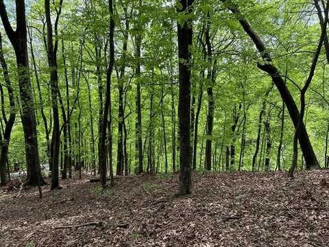 0 Valley View Drive, Big Canoe, GA 30143