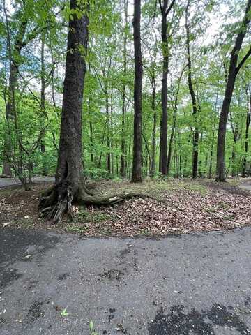 387 Windflower Drive, Dawson, GA 30143