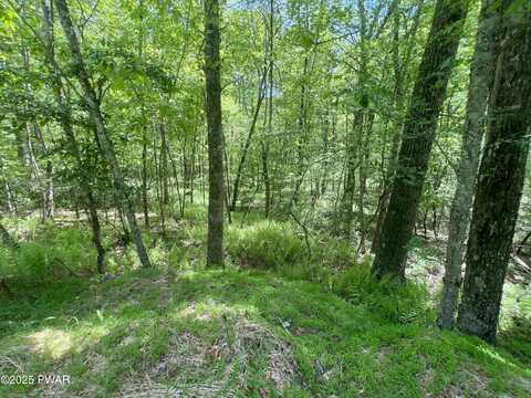 Lot 19 Brook Drive, Narrowsburg, NY, NY 12764