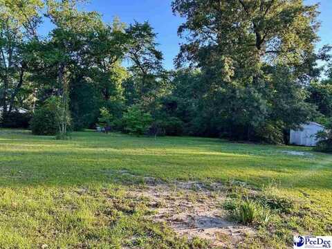 6914 Leslie Lewis Rd., Mullins, SC 29574
