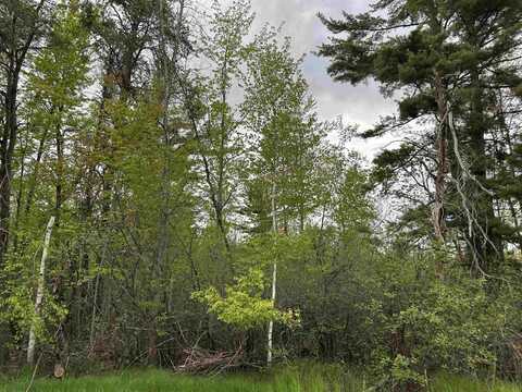 MCGRAW Street, PESHTIGO, WI 54157