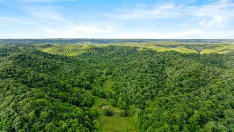 0 Black Branch Road, Burkesville, KY 42717