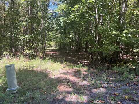 00 Lower River Road, Decatur, TN 37322