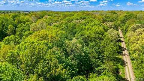 2905 N Lake Pleasant Road, Arcadia, MI 48412