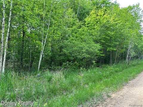 V/L S Dodge Road, Deford, MI 48741