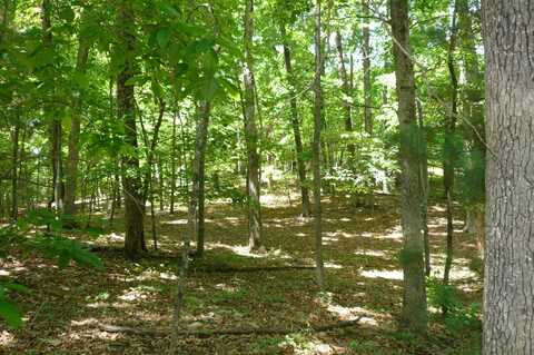 0 Givens Tyler RD, Salem, VA 24153