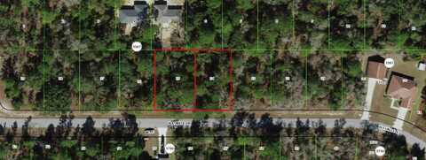 3059 W Eunice Drive, Citrus Springs, FL 34433