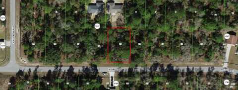 3073 W Eunice Drive, Citrus Springs, FL 34433