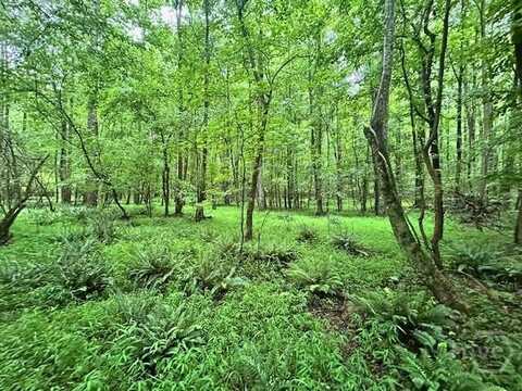 0 Cedar Lane, Danielsville, GA 30633