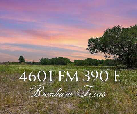 4601 Farm To Market Road 390 East, Brenham, TX 77833