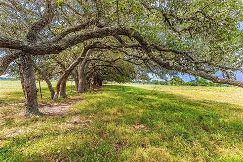 2948 County Road 106, Columbus, TX 78934