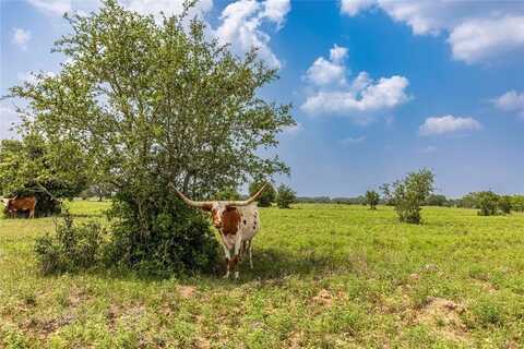 Tract 2 County Road 106, Columbus, TX 78934