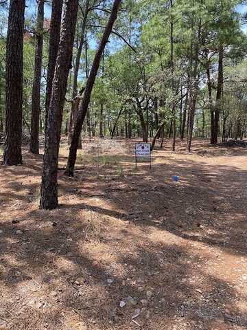 TBD Clear Lake Drive, La Grange, TX 78945