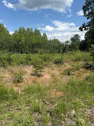 Cutbanks Rd, Appomattox, VA 24522