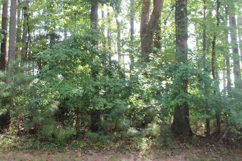 146 CAPTAINS CORRIDOR, GREENBACKVILLE, VA 23356