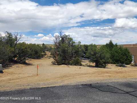 6604 FOOTJOY Road, Farmington, NM 87402