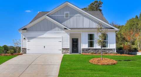 288 Chapin Place Way, Chapin, SC 29036